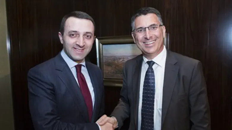 Gidon Sa'ar with Georgian Prime Minister Irak