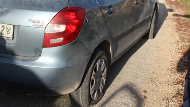 אילוסטרציה