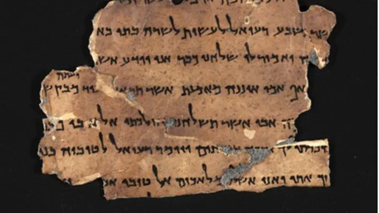 Sample of new photos for the IAA library