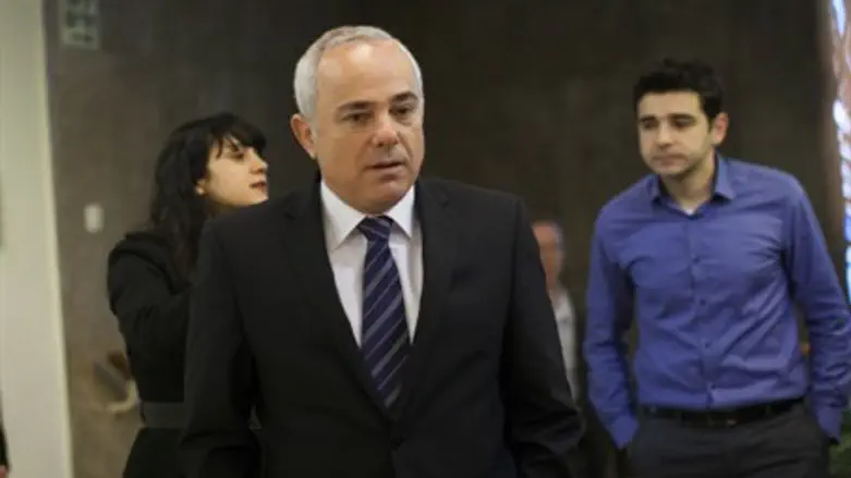 Minister Yuval Steinitz