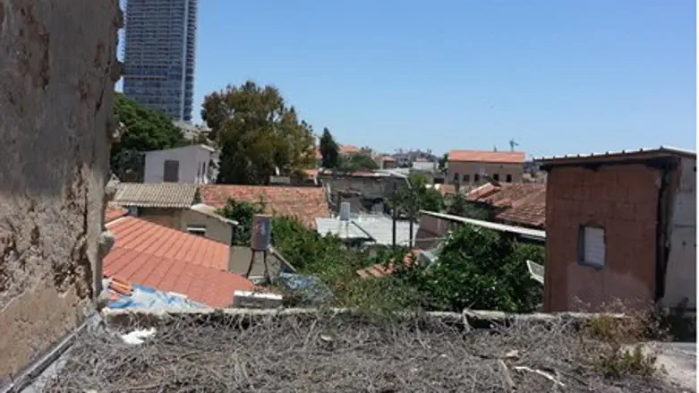 IDF Tours Neve Tzedek