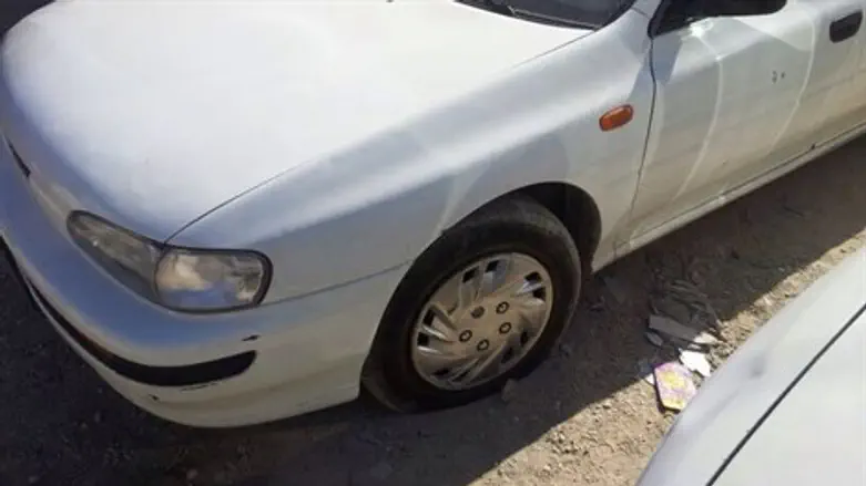 צמיגים נוקבו