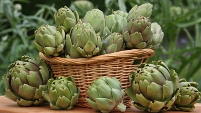 מה מסתתר מתחת לקוץ