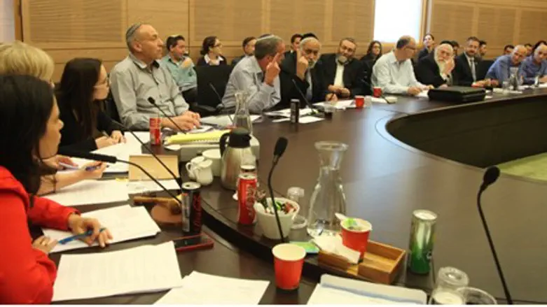 The Shaked Committee (file)