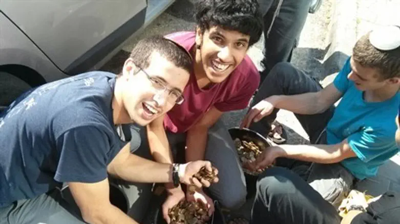 מכינים את הדליים