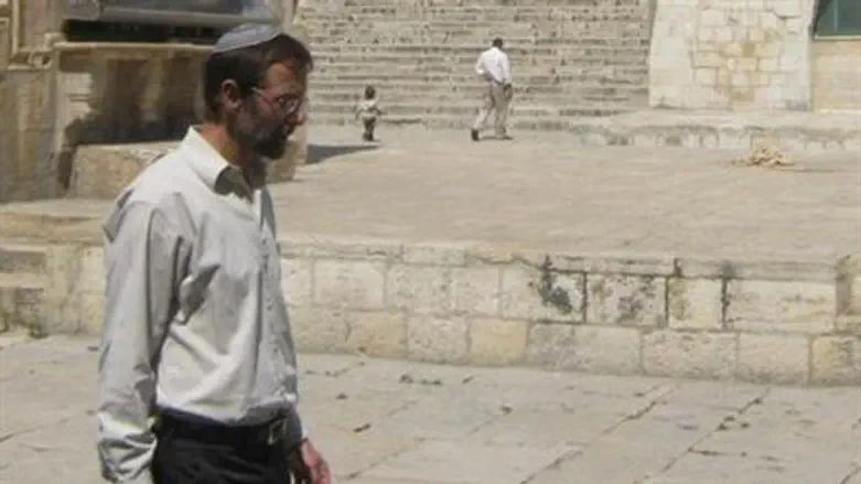 פייגלין על הר הבית