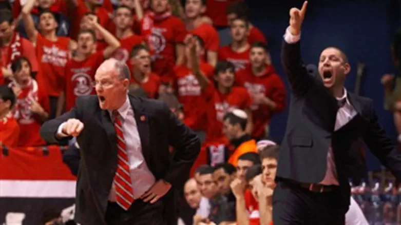 גרינברג. כועס ובצדק.