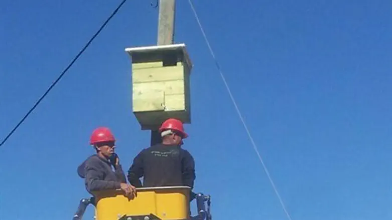 בית לבזים בבית אריה.