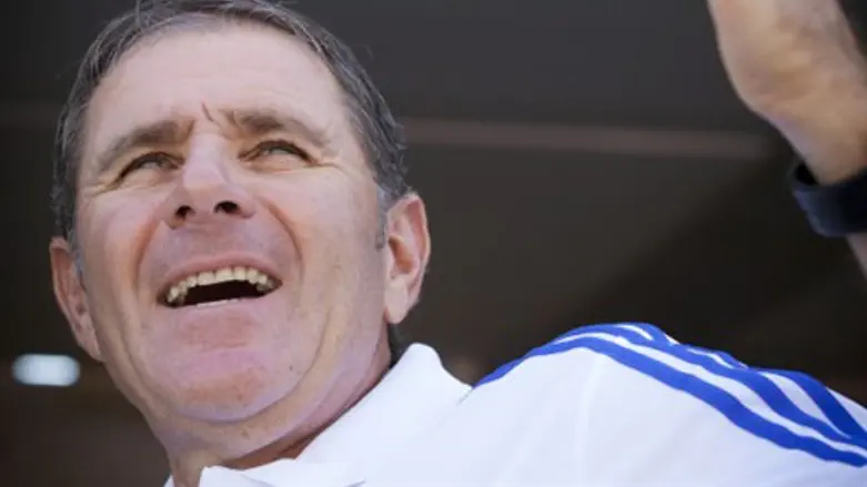 אלי גוטמן