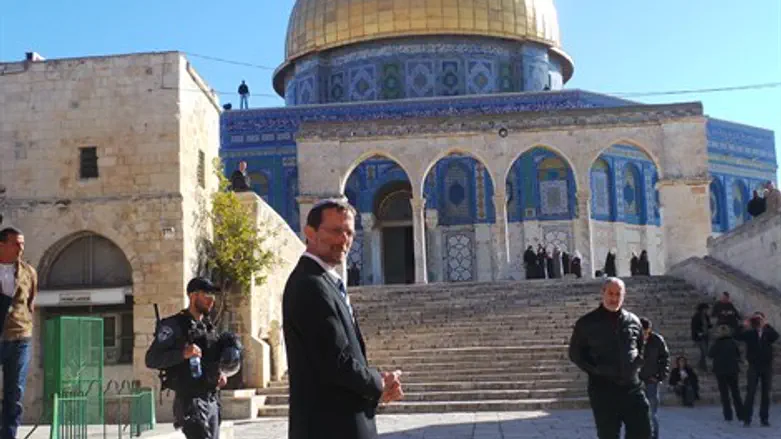 פיגלין על הר הבית. ארכיון