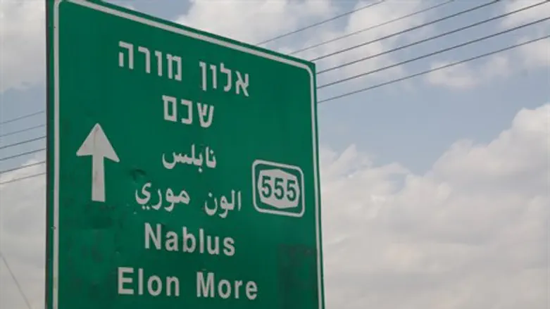 אלון מורה שכם