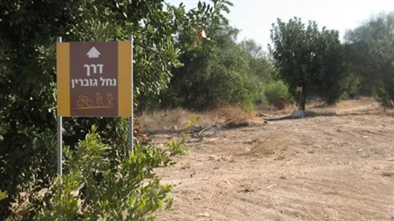 תיירות לישראל