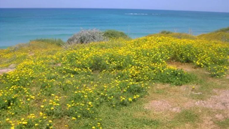 גן לאומי פלמחים