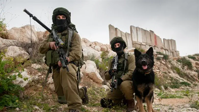 חיילים יחידת עוקץ