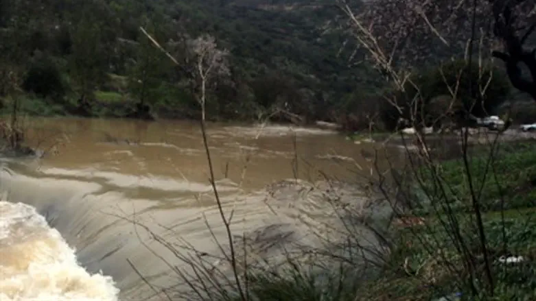 אילוסטרציה