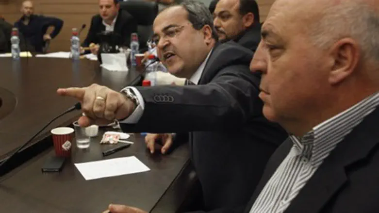 Arab MK Ahmed Tibi in committee debate (file)
