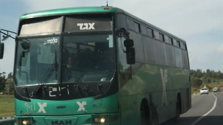 רכב אבן אבנים טרור 