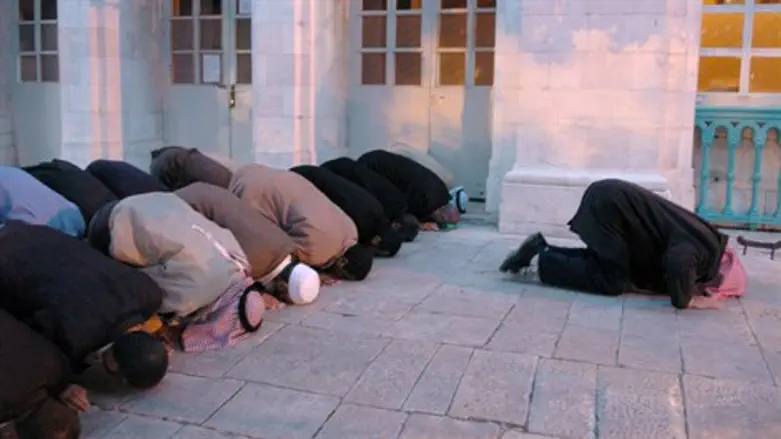 אילוסטרציה