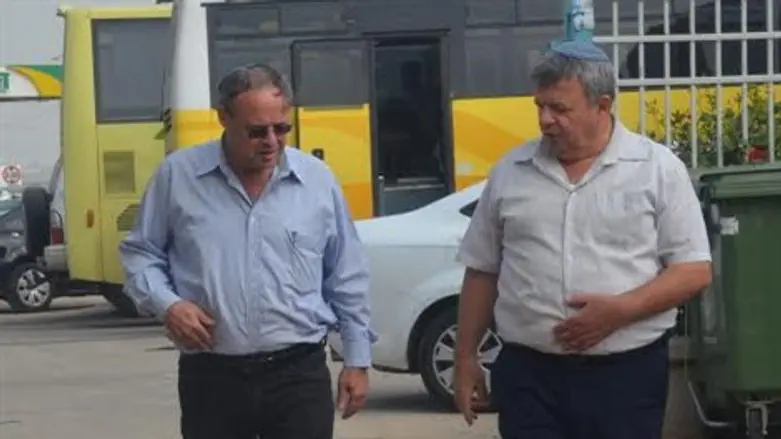 כלפה וליבר