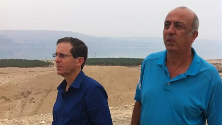 דהמן והרצוג