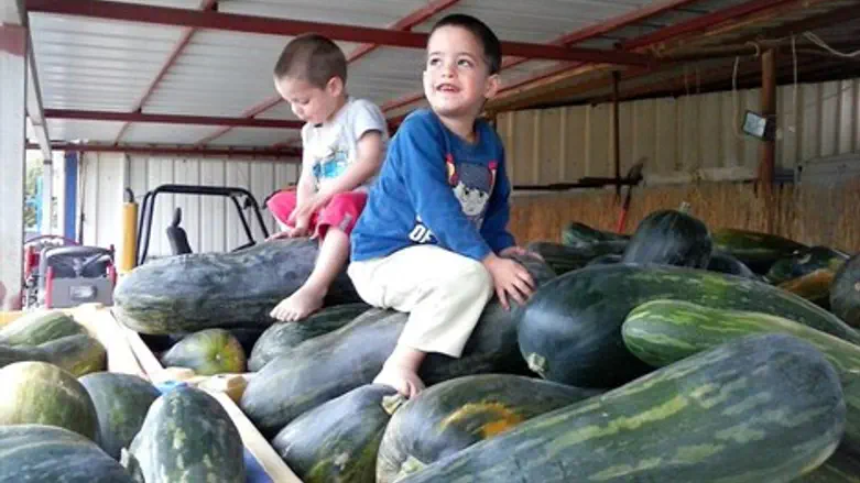 הדלעות המיוחדות