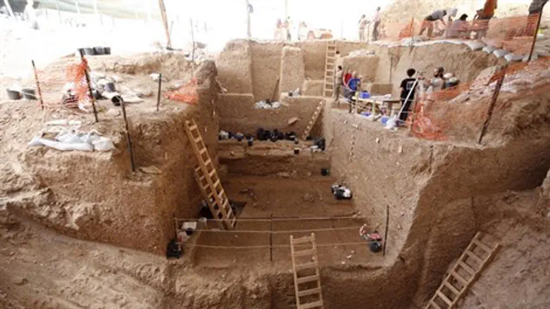 האתר הייחודי