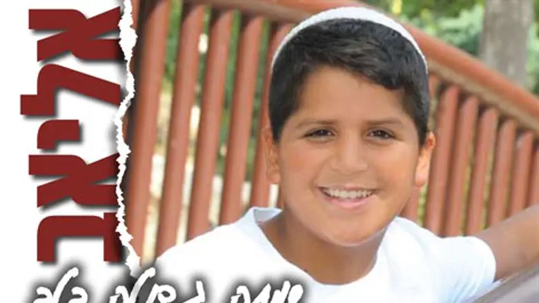 שמחה גדולה בלב, אליאב שבו