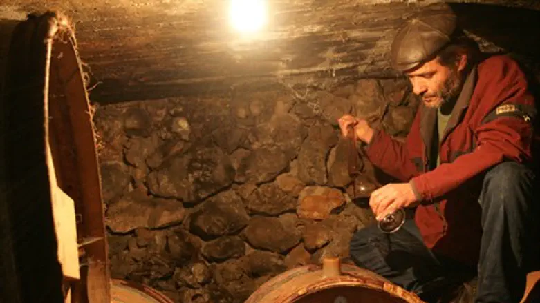 יורם כהן ביקב תניא