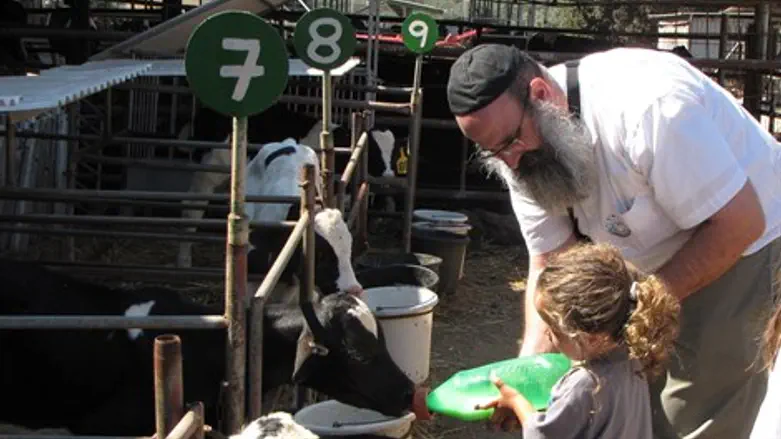 בשביל פרות החלב