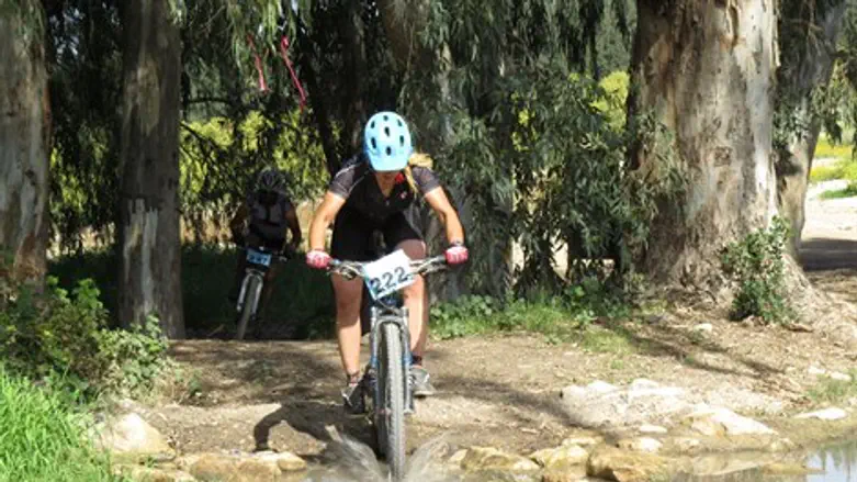 התחרות בשנה שעברה