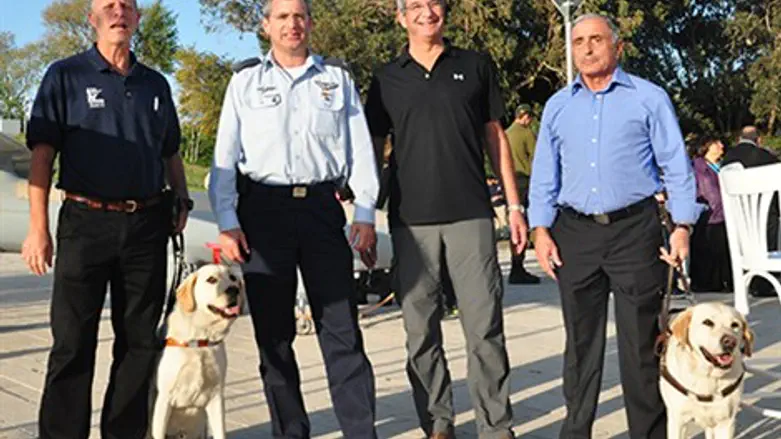 כלב נחייה. אילוסטרציה