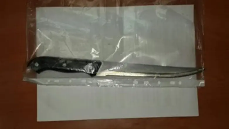 The knife found on the suspect