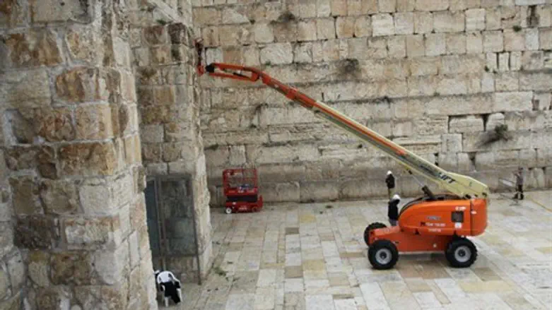 מנקים את רחבת הכותל