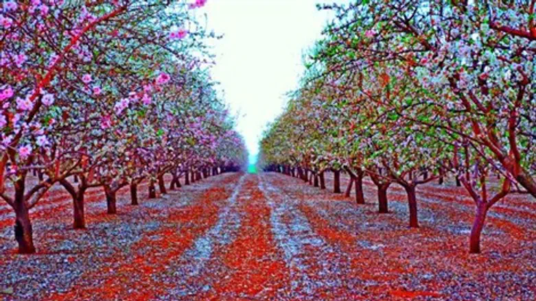 הצילום הזוכה