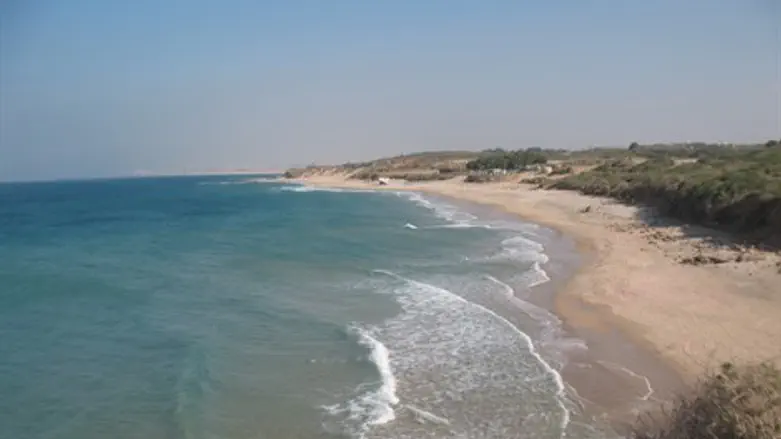 חוף פלמחים