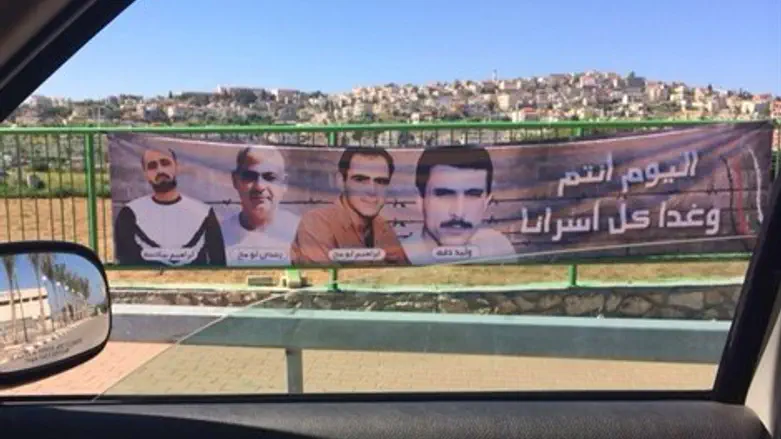 תמונות המחבלים