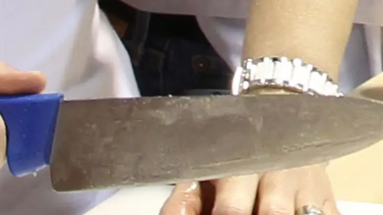 סכין מטבח. אילוסטרציה