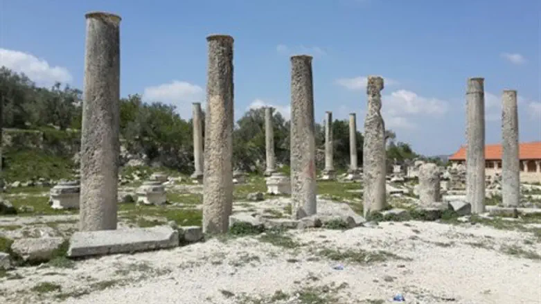 הצבא מזמין, לא תבואו?