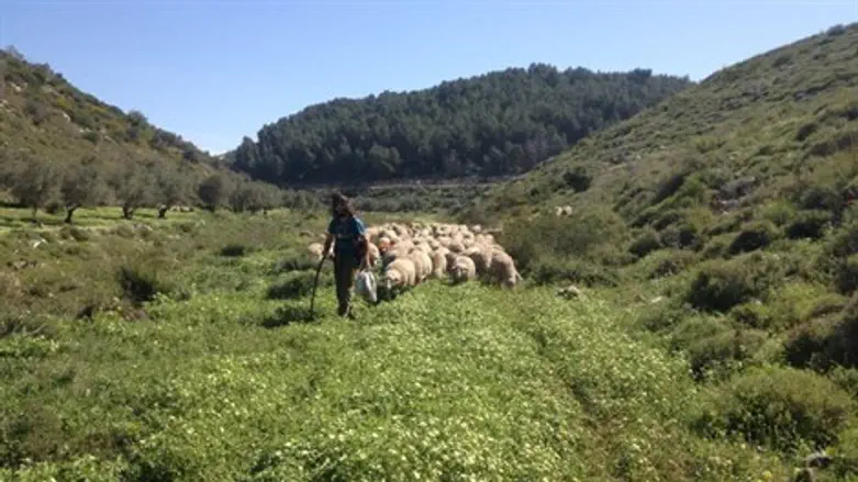העמק מחכה לאורחים