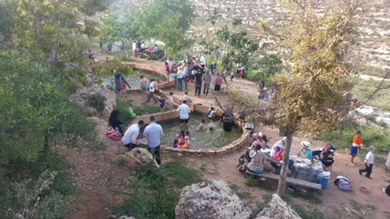 אלפים בבנימין