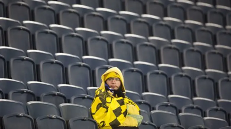 האם טדי יהיה שקט?