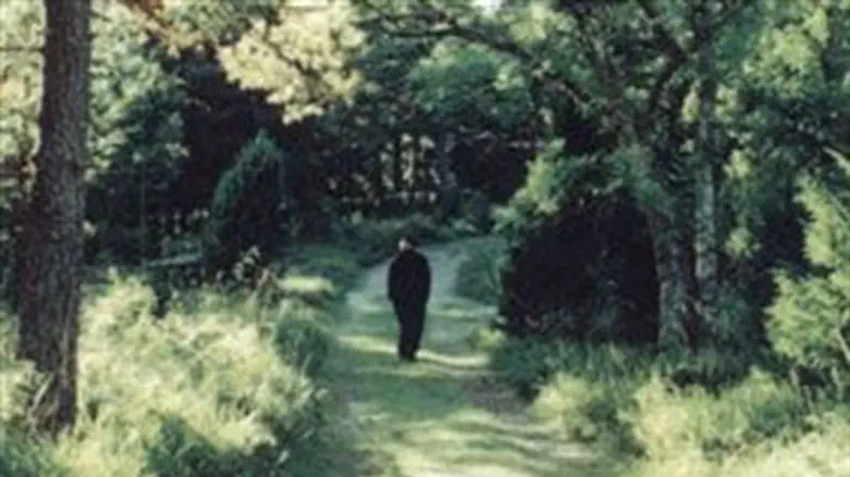 ימים של בהירות מדהימה