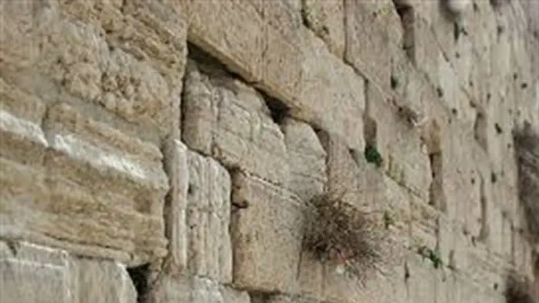 הכותל- מועדף