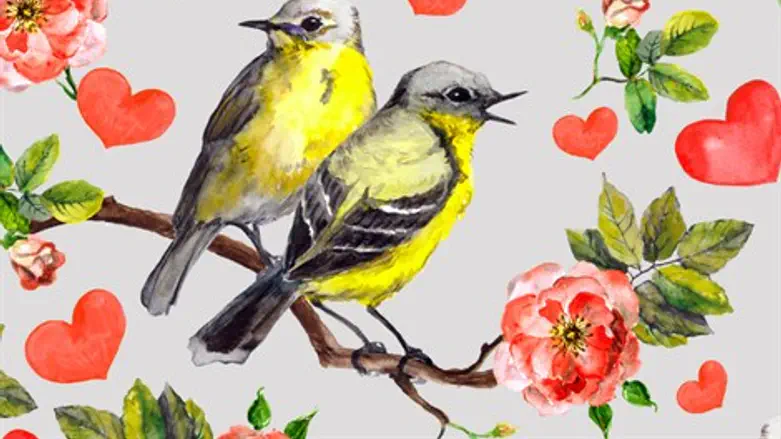 האביב הזוגי