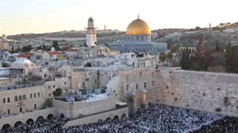 דואג. אלקין