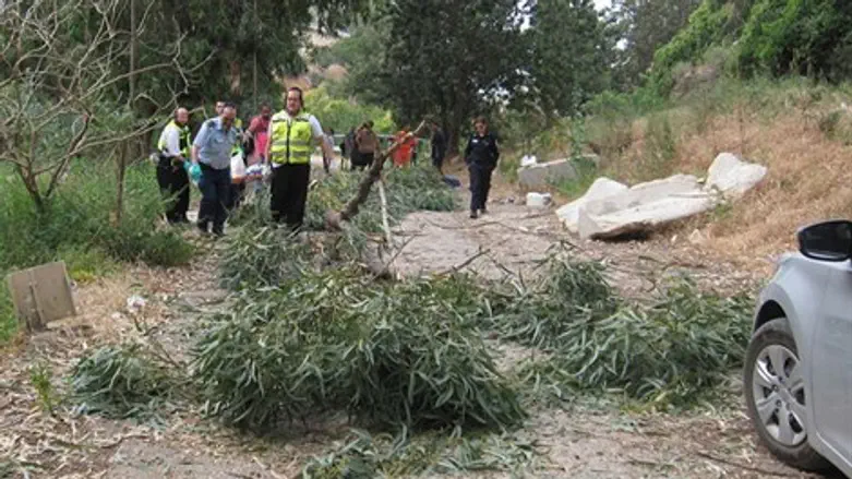 נחל גיבורים