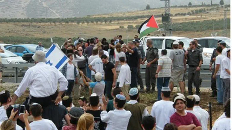 Акция протеста в лесу Лави