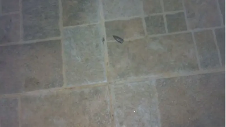 Bullet fired from Ramallah at Psagot