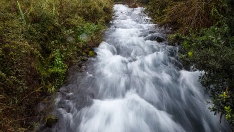 Effects of rain in Golan Heights (file)