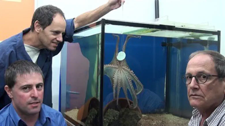 Nir Nesher (by tank), Guy Levy, Benny Hochner